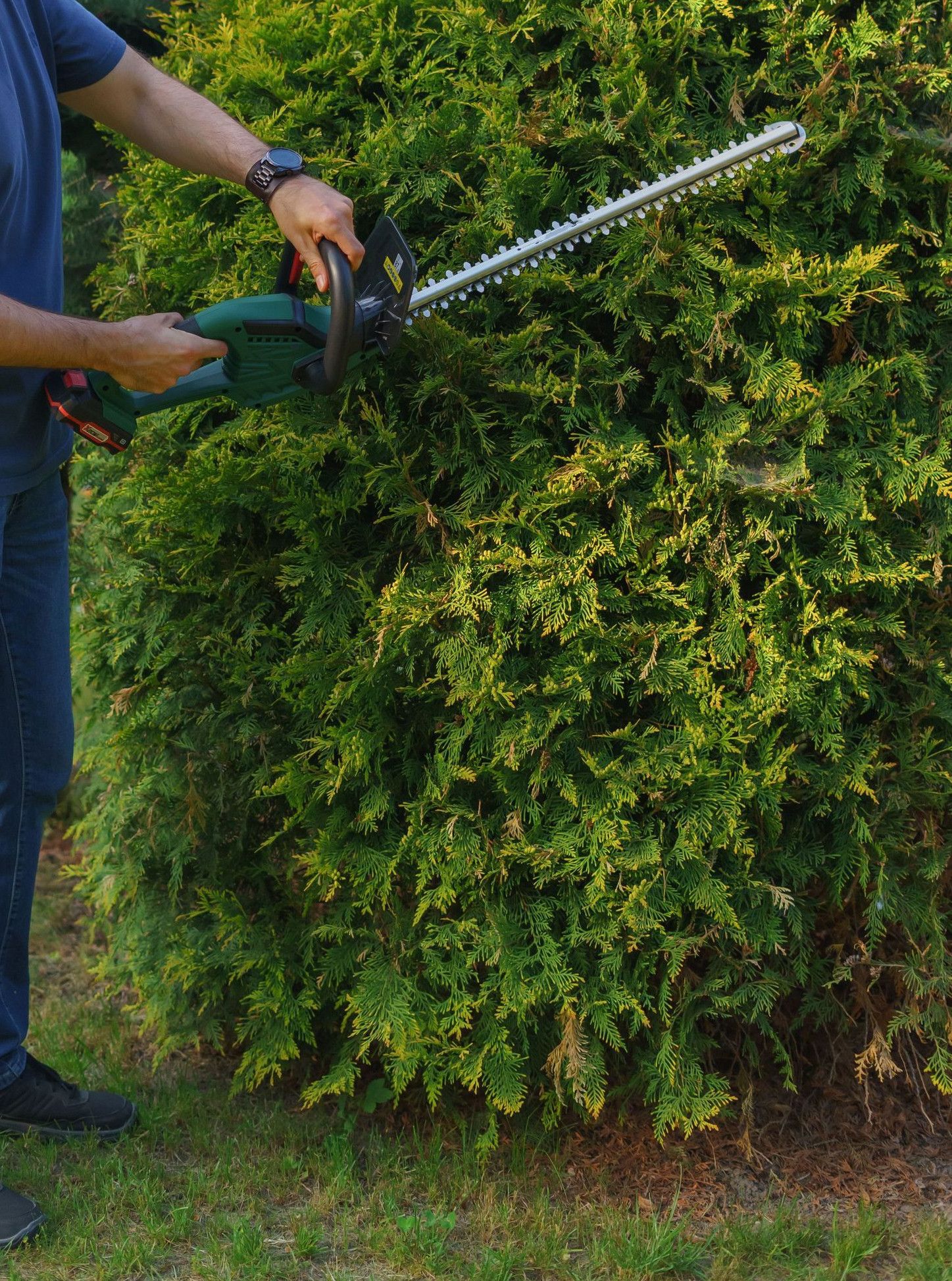 Man using an electric hedge trimmer to shape a garden shrub. Ideal for gardening themes.